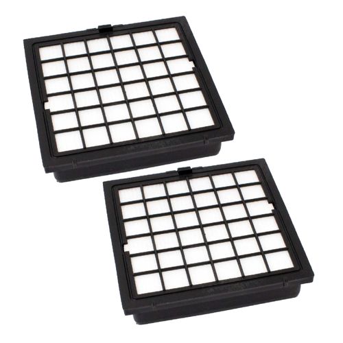 vhbw 2x filtre compatible avec Bosch Ergomaxx BSG 81455 / 14, BSG 82222 / 01 aspirateur - Filtre HEPA contre les allergies