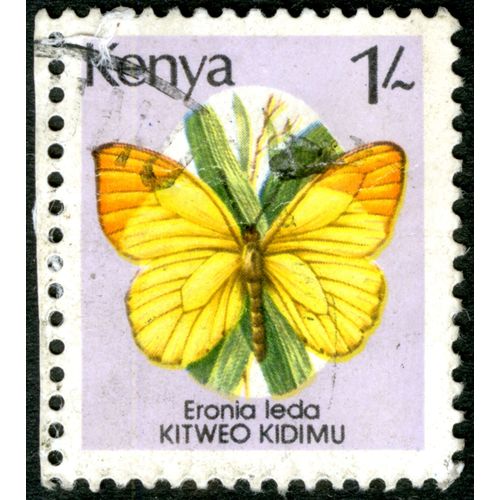 Timbre Oblitéré Kenya, Eronia Leda, Kitweo Kidimu, 1