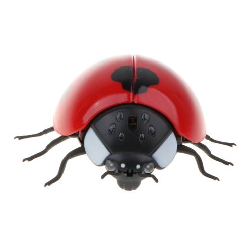 Animal Télécommandé À Infrarouge Rc, Jouet De Blague Réaliste Coccinelle Insecte