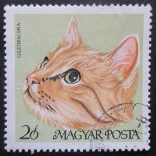 Hongrie N°1947 Chat Oblitéré
