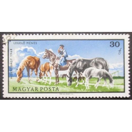 Hongrie N°1975 Chevaux Oblitéré