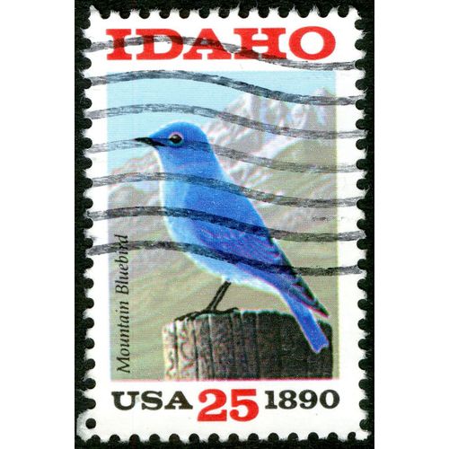 Timbre Oblitéré Usa 25, Idaho, Mountain Bluebird, 1890