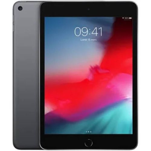 iPad Mini 5 2019 - Gris Sidéral- 256 Go - Cellular - 7.9"  - Batterie 93%