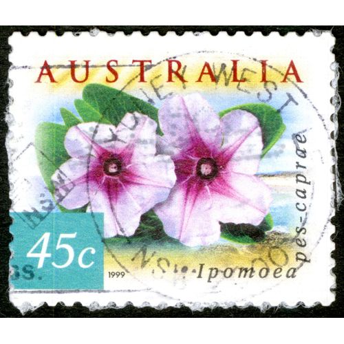 Timbre Oblitéré Australia, 45c, 1999, Ipmoea Pes-Caprae