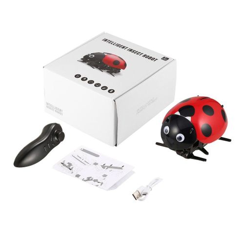 Télécommande De Simulation Coccinelle Coccinelle, Jouet Électronique, Bricolage, Cadeau D'Anniversaire Pour Enfants, Nouveauté, Jouets De Simulation D'Insecte
