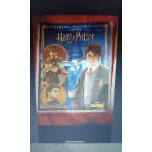 Harry Potter Panini