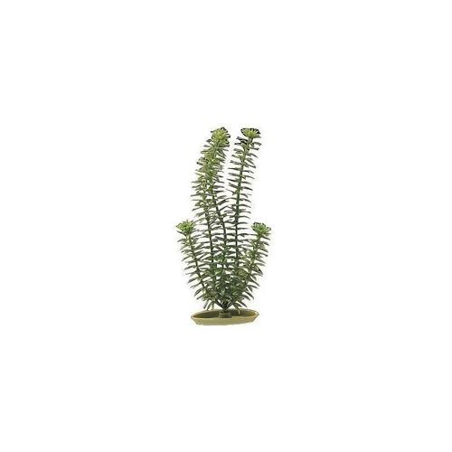 Aqua Plantes Artificielles Marina Anacharis 12,5 Cm - Plastiques - Vertes - Pour Aquarium