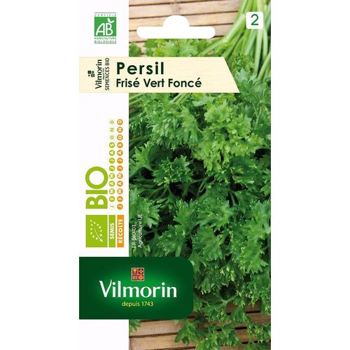 Persil Frise Vert Fonce Bio Vilmorin