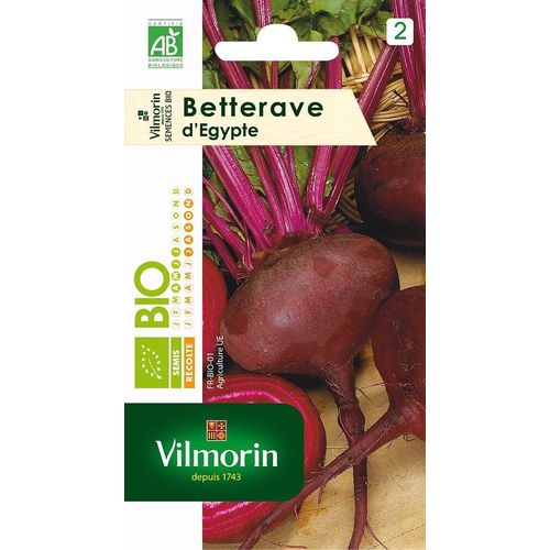 Betterave Noire D Egypte Bio Vilmorin