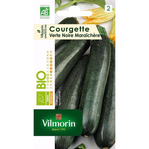 Courgette Verte Noire Maraichere Bio Vilmorin