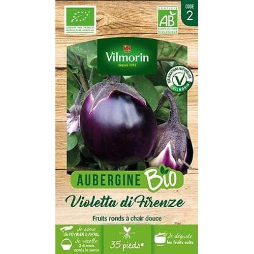 Aubergine Violette De Florence Bio Vilmorin