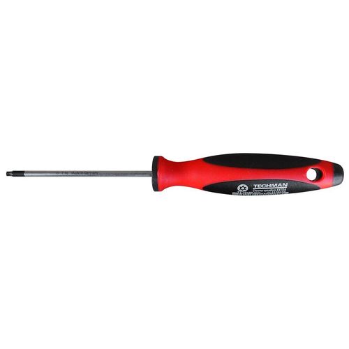 Tournevis Torx Tamper TT 10