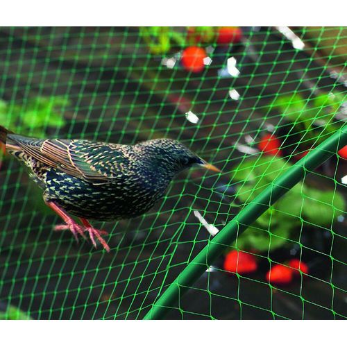 Filet Anti-Oiseaux Vert 2x10m Nortène