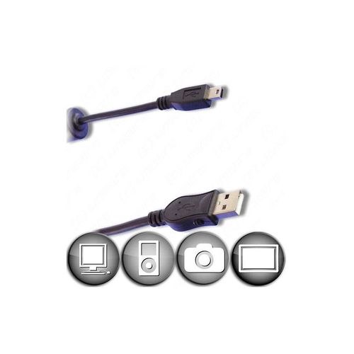 Cable Mini USB B 5 contacts male USB A male