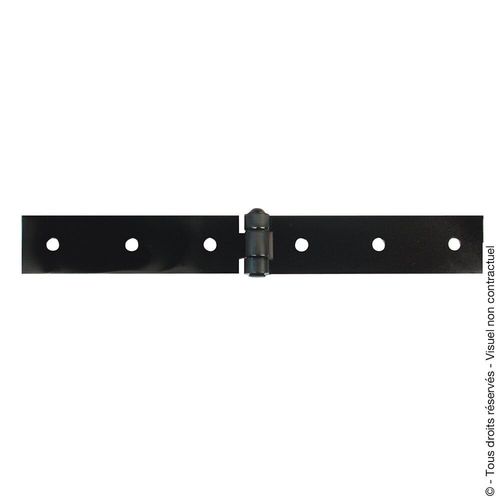 Charnière forte acier pour volets battants, L.40 x l.300 mm