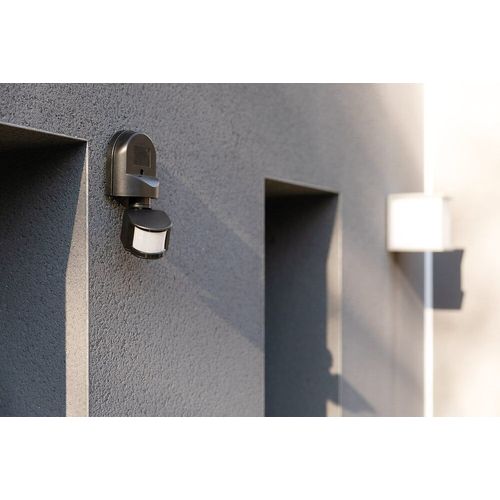 Détecteur de mouvement orientable Noir