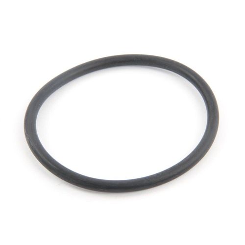 Joint torique d'adaptateur pour Filtre ? Sable Side Hayward