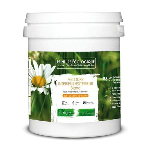 Peinture Intérieur Extérieur Aspect Velours Natura - 1l / 13m² [classe Énergétique A+] - Vert Sauge Box Deco Couleurs