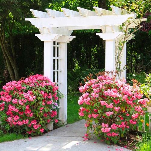 Peinture Intérieur Extérieur Aspect Velours Natura - 10l / 130m² [classe Énergétique A+] - Vert Tropical Box Deco Couleurs