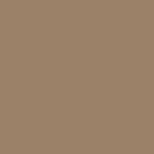 Badigeon à la chaux décoration intérieure extérieur maison BADIPLUS VÉRONE Beige marron kit de 20 kg : jusqu'à 100 m²
