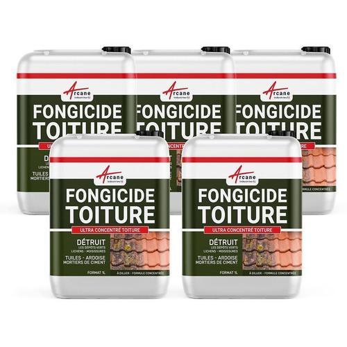 Fongicide Anti depot vert concentré pour toiture - Élimine aussi algues et lichens - ANTI-MOUSSE Lot de 5 x 1L (5L)