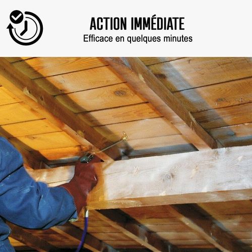 Traitement mérule produit extérieur intérieur 20 L