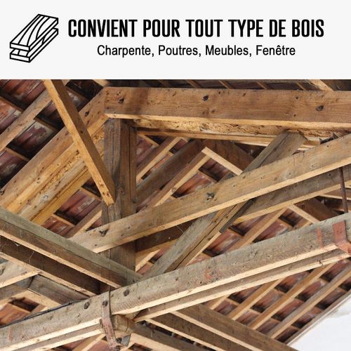 Traitement vrillette bois parquet meuble 200 L