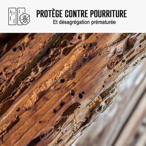 Traitement mérule produit extérieur intérieur 200 L