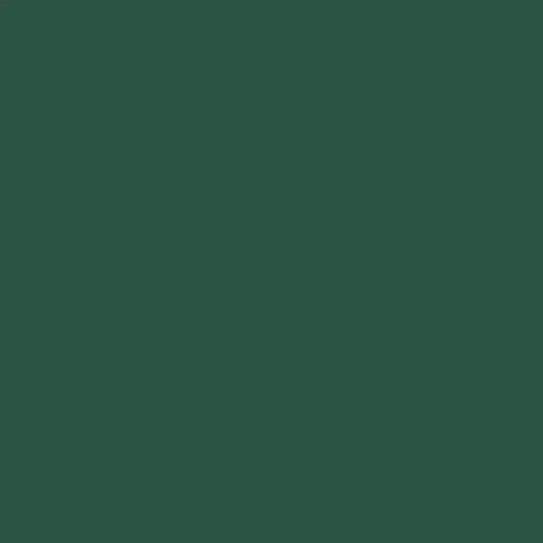 Peinture pour court de tennis béton poreux couleur ligne rénovation Anti dérapant salle de sport ARCATENNIS Vert foncé 15 Kg jusqu a 30m2 pour 2 couches