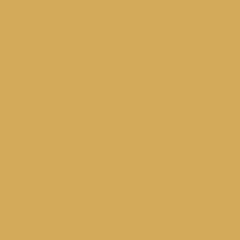 Résine Epoxy Autolissante - Peinture pour Sol : Déco intérieure, Atelier - Effet Miroir Beige ral 1001 kit de 25 kg