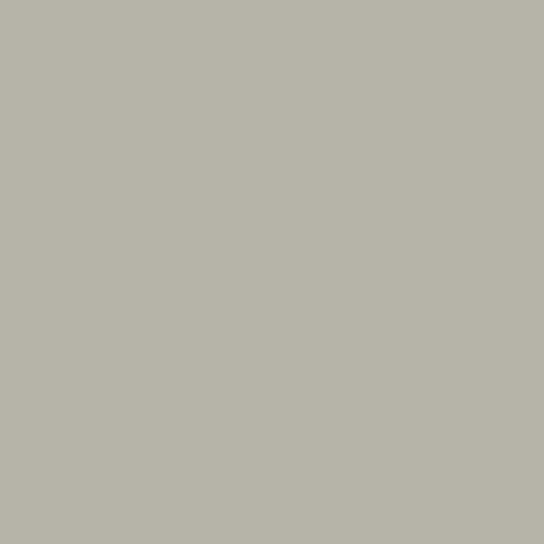 Peinture façade acrylique 14 couleurs - durable jusqu'à 15 ans - rénovation façade, mur crépi - Arcafacade Renov Gris (Ral 7044) 10L (+ ou - 60m² en 1 couche)