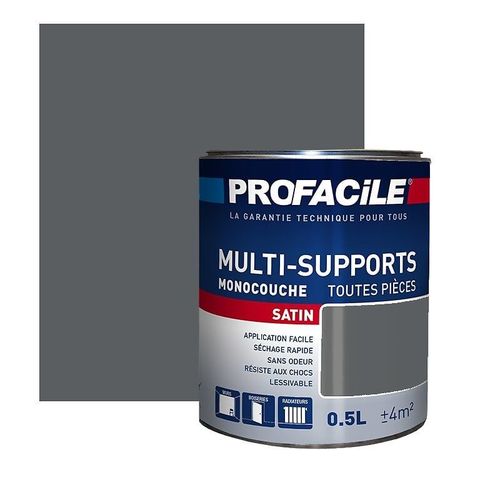 Peinture intérieure multi-supports, PROFACILE 0.5 litre Gris Ardoise