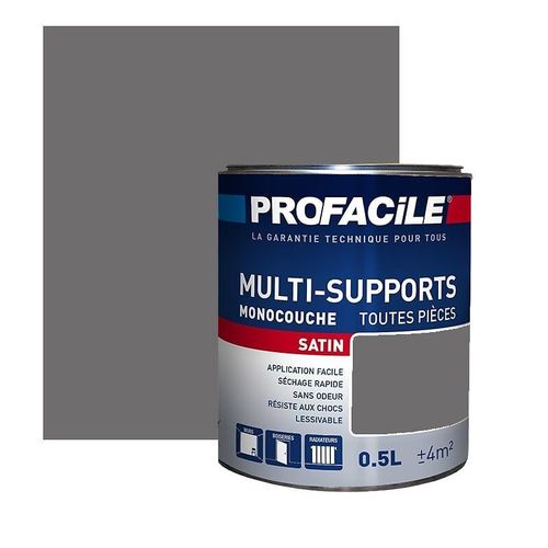 Peinture intérieure multi-supports, PROFACILE 0.5 litre Gris Zingue