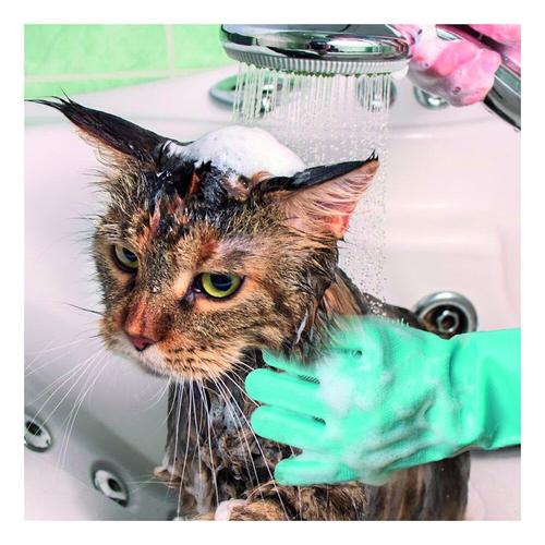 Gant De Toilettage Pour Animaux En Silicone - Venteo - Vert - Adulte - Nettoie Et Brosse Sans Douleur - Lavable En Machine