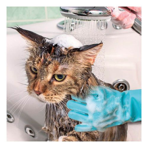 Gant de toilettage en silicone pour animaux - Venteo - Vert - Adulte - Brosse et nettoie sans douleurs, lavable en machine