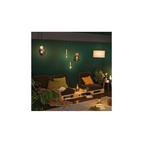 Lampe De Table Paulmann Iben 20 W Intensité Variable, Avec Interrupteur Fumé