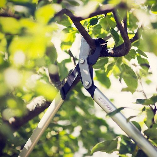 Coupe-branches Powergear X - M à crémaillère et à lame franche 65 cm - Ø 50 mm