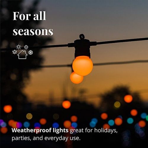 Guirlande Fête Led Twinkly Festoon Kit Démarrage