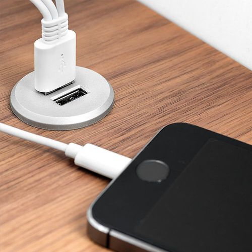 EMUCA 5070625 Chargeur multiple avec 2 ports USB type-A pour encastrer au meuble, Peint Aluminium