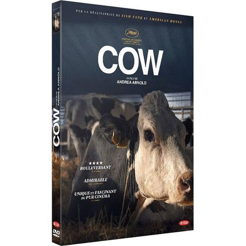 Cow