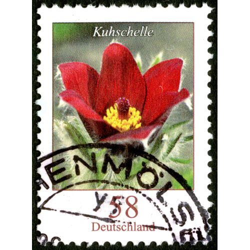 Timbre Oblitéré Deutschland, Kuhschelle, 58