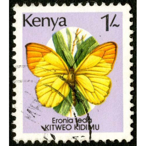 Timbre Kenya, Eronia Leda, Kitweo Kidimu, 1