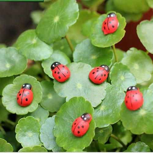 Mini Coccinelle Petits Insectes, Artisanat En Bois Pour Pot De Plante Décor De Jardin Ornements Kawaii Diy Micro Paysage Accessoires 10 Pièces/20 Pièces