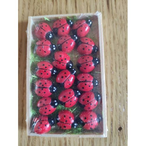 Lot De Coccinelles En Bois