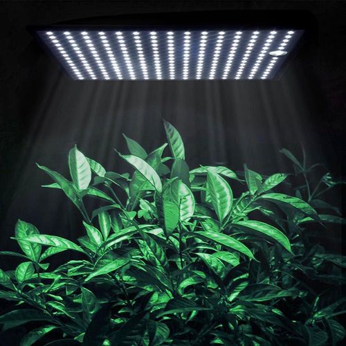 Lampe Horticole De Croissance Led, 5000w, 225led, Spectre Complet, Panneau Pour Culture Hydroponique De Plantes, Tente, Aquarium, Ac85-265v