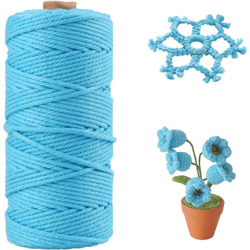 Corde Macramé 3mm x 100m,Coton Fil Macramé Ficelle Cordelette, Naturel Coton Cordon pour Tricotage Hanging Plant DIY Décoration Cadeau(Bleu)
