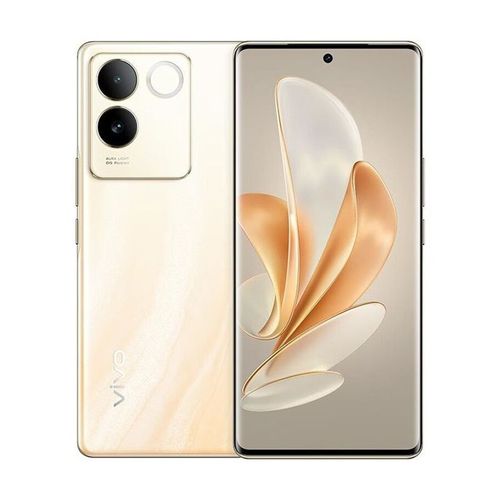VIVO S17E 12/256 Go Or
