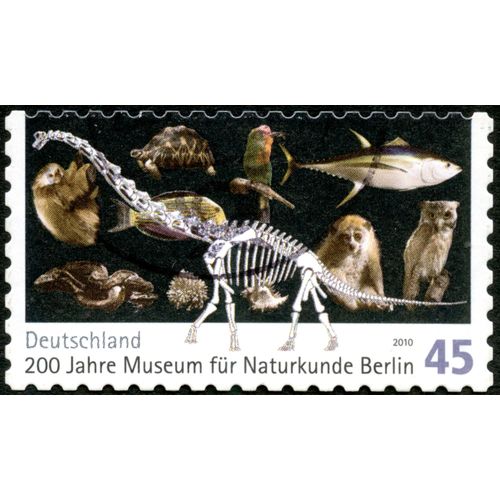 Timbre Oblitéré Deutschland, 200 Jahre Museum Für Naturkunde Berlin, 2010, 45