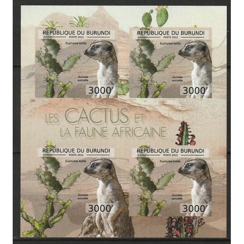 Bloc Neuf** De 4 Timbres Burundi Non Dentelés 2012 N° 2790 "Les Cactus Et La Faune Africaine" Euphorbia Tortilis Et Suricate.