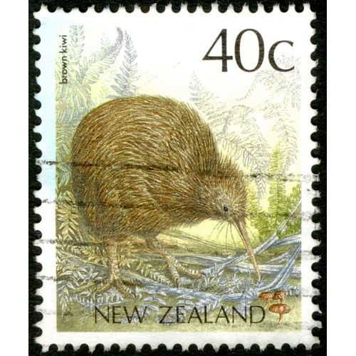 Timbre Oblitéré New Zealand, Brown Kiwi, 40 C